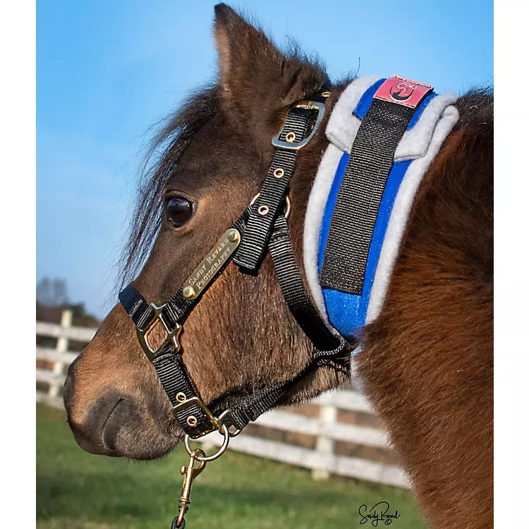 Ozark Premium Mini/Pony Throatlatch Sweat