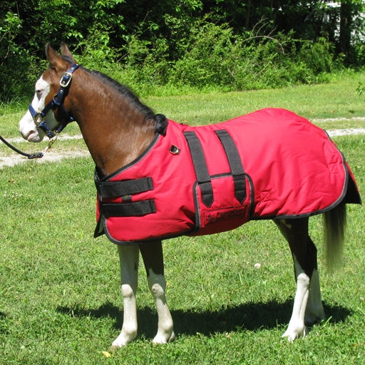 Ozark Mini/Pony Roustabout Blanket