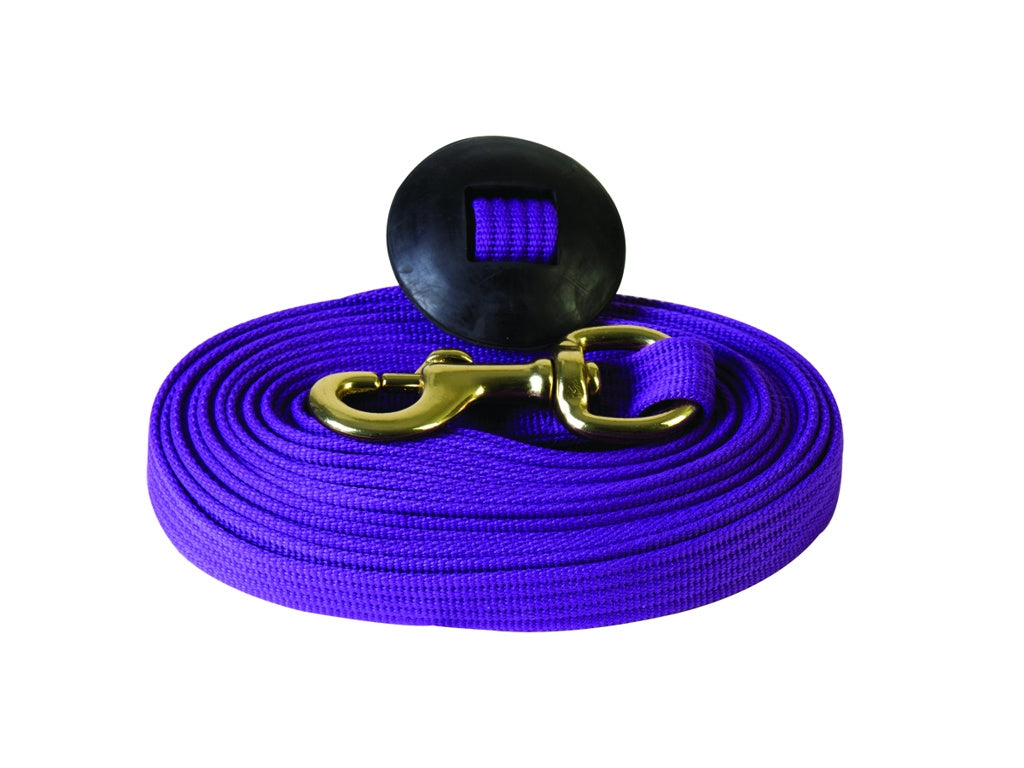 Basic Flat Cotton Web Lunge Line