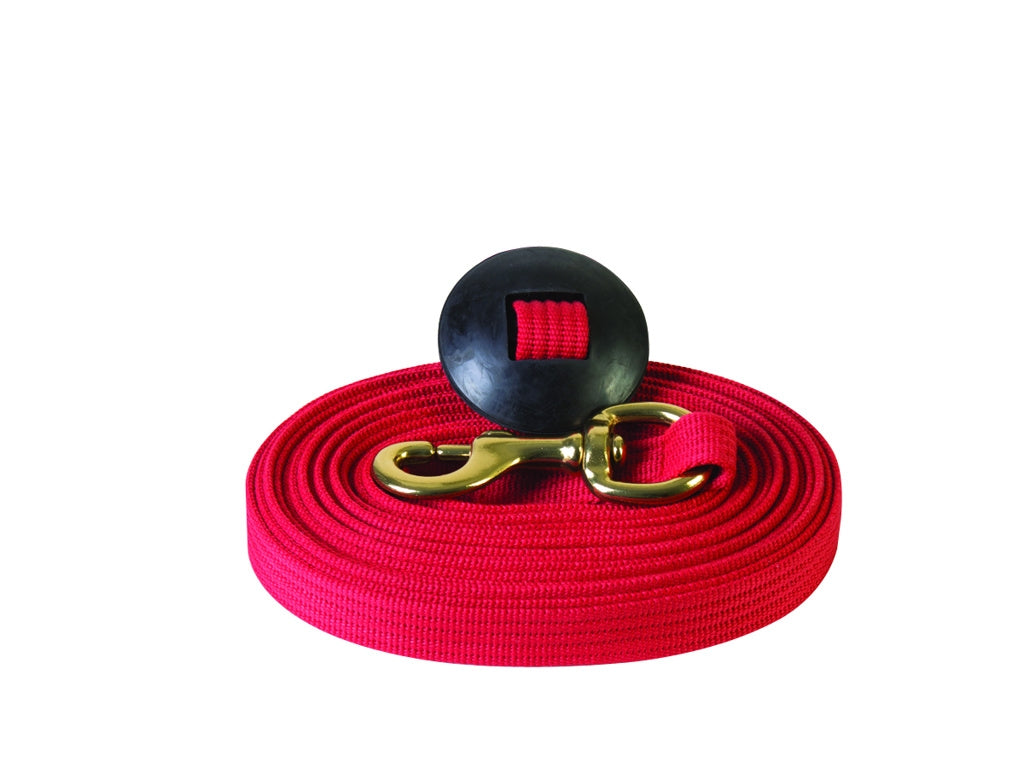 Basic Flat Cotton Web Lunge Line