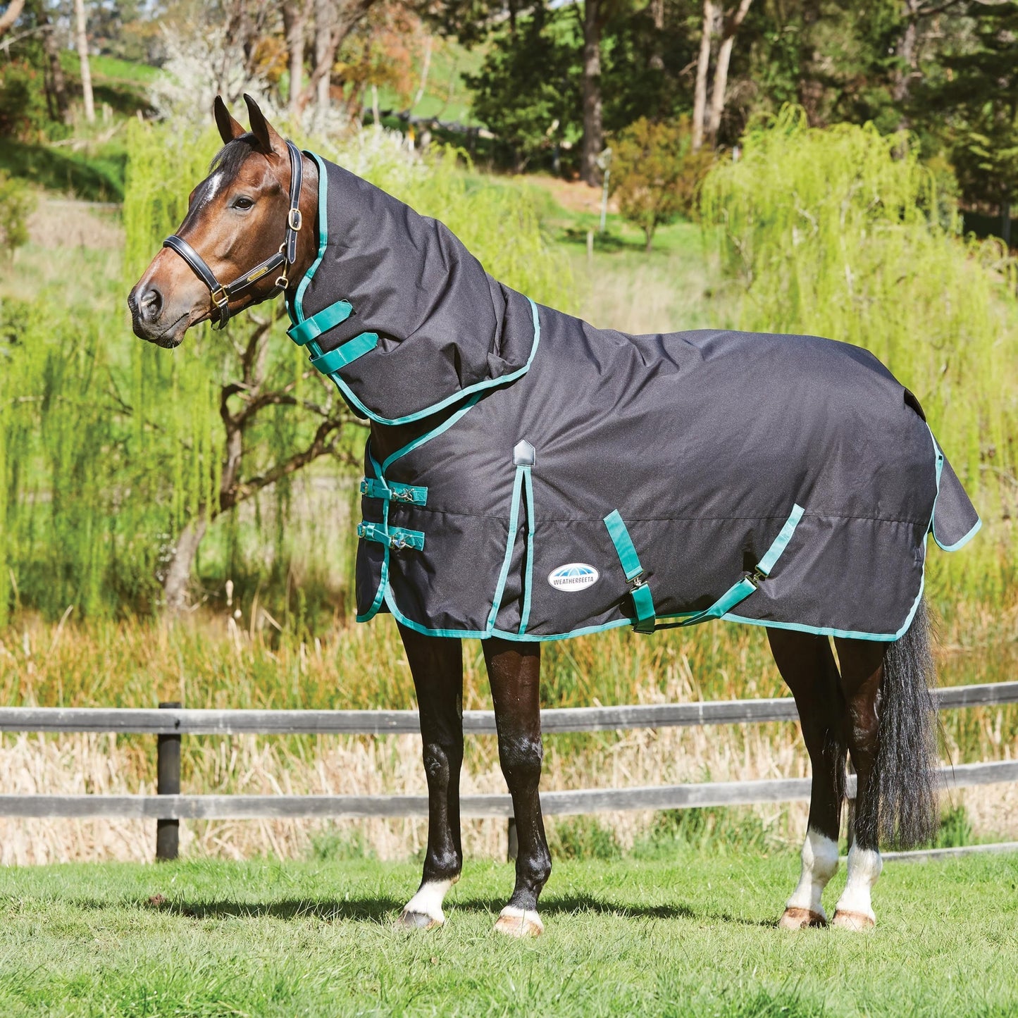 Weatherbeeta Green-Tec 900D Detach-A-Neck Medium Turnout