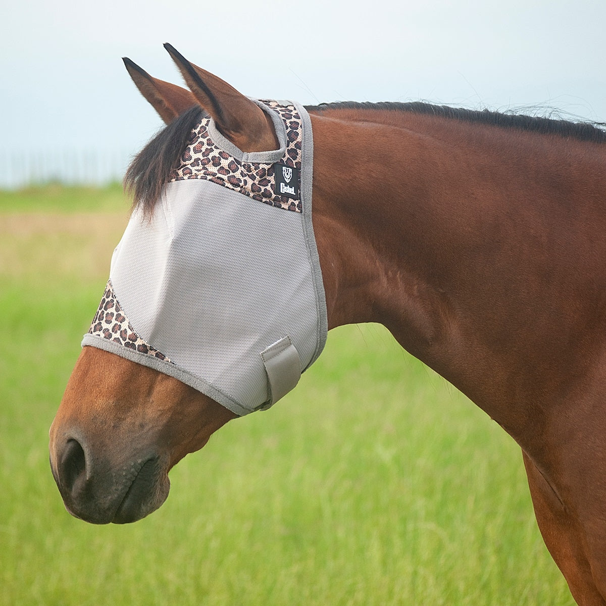 Cashel Crusader Fly Mask- Standard