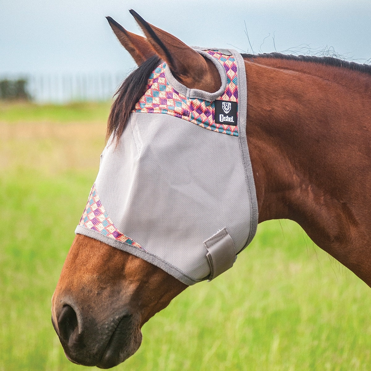 Cashel Crusader Fly Mask- Standard