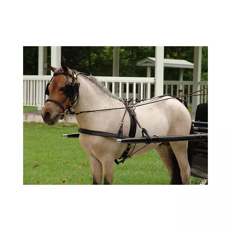 Ozark Mini/Pony Show Harness