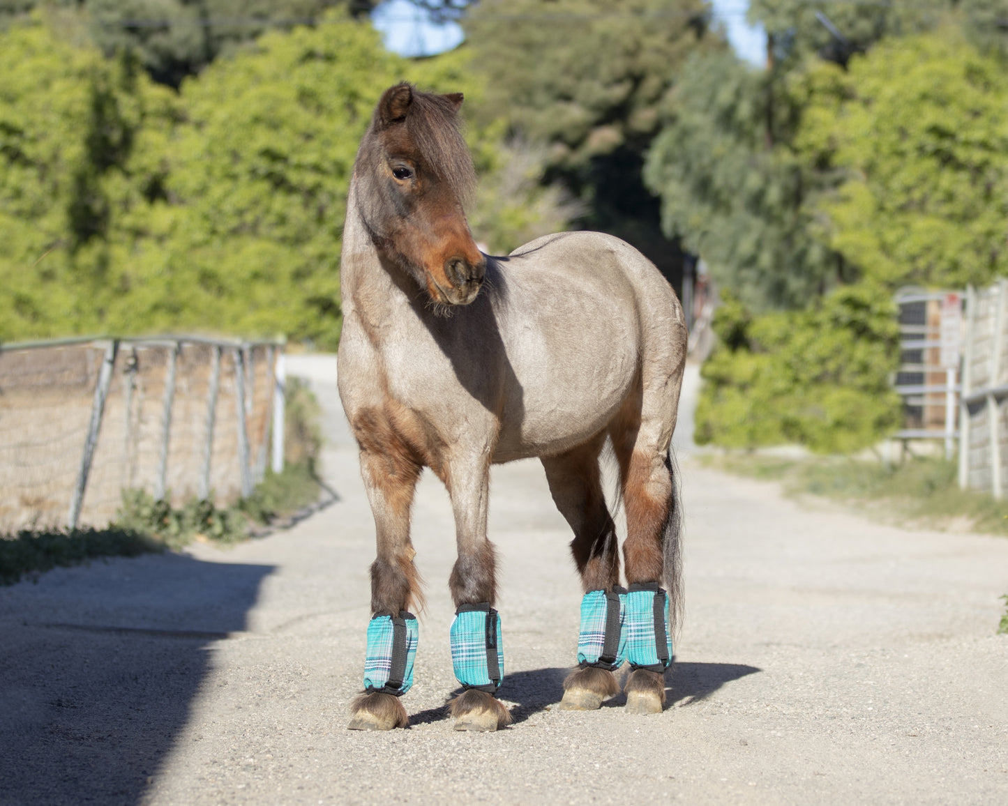 Kensington Mini Bubble Fly Boots - Set of Four