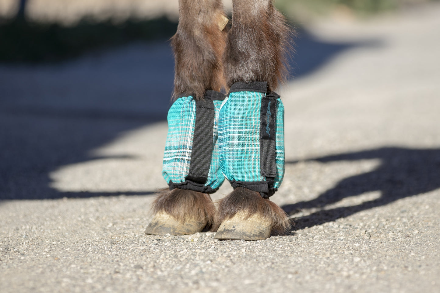 Kensington Mini Bubble Fly Boots - Set of Four