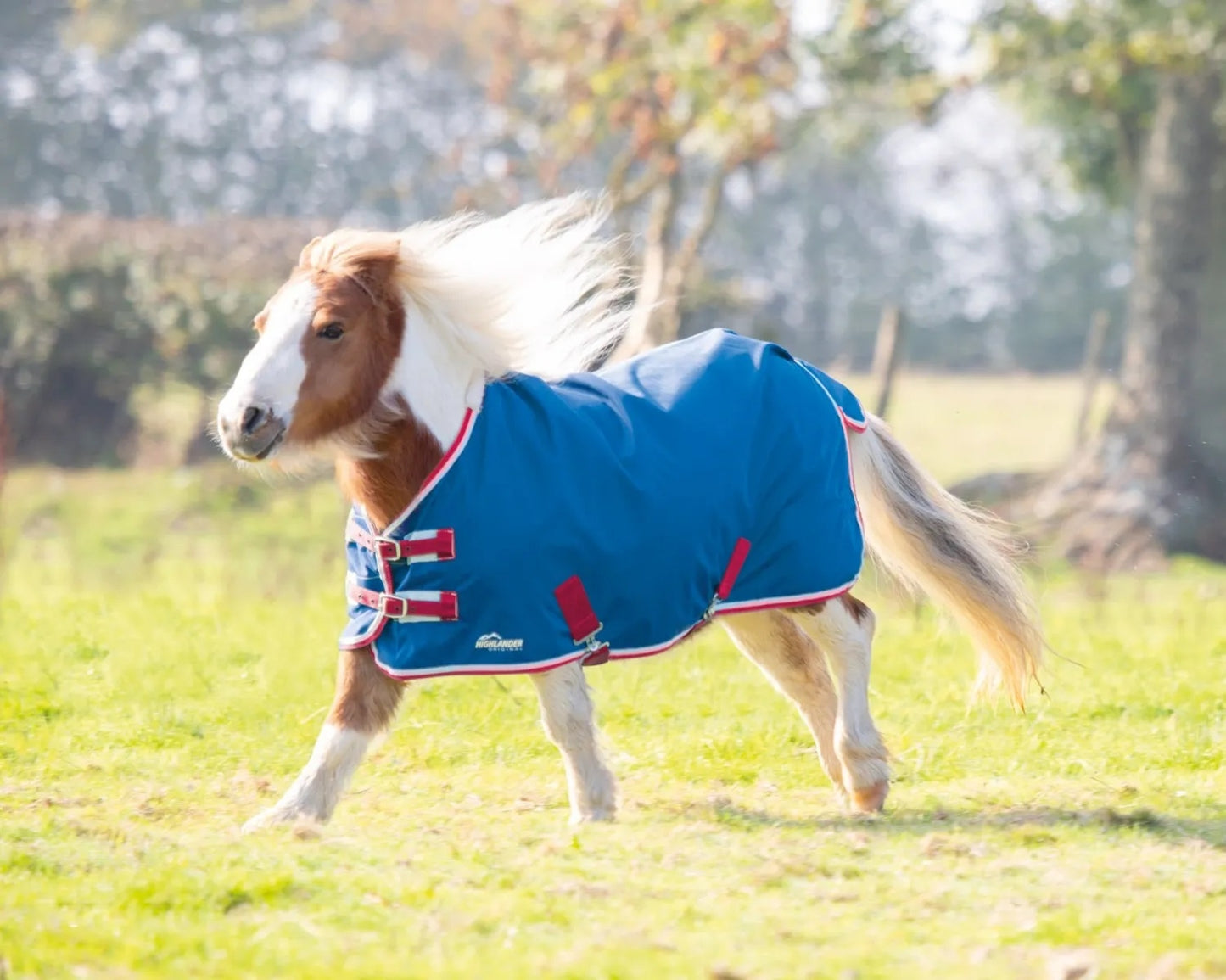 Shires Miniature Highlander Lite Turnout Sheet