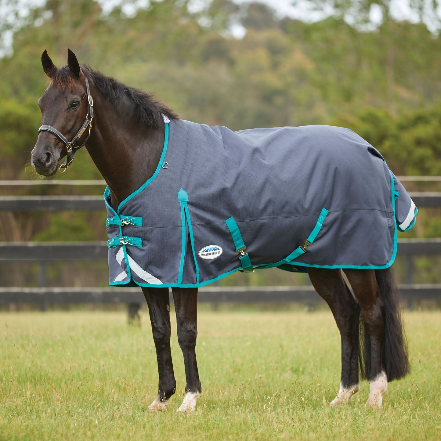 Weatherbeeta ComFiTec Plus Dynamic II Standard Neck Medium Turnout