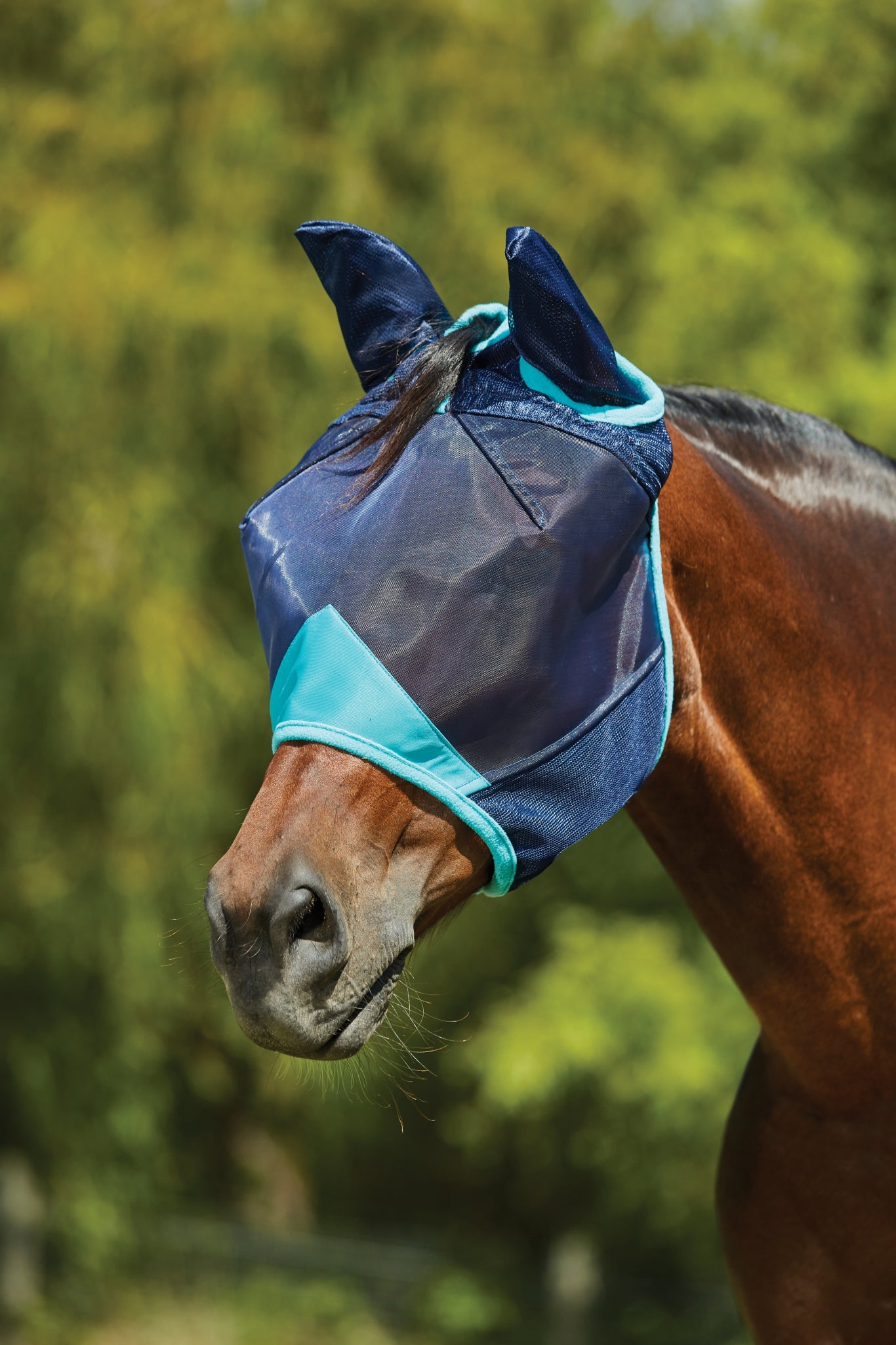 Weatherbeeta ComFiTec Deluxe Fine Mesh Mask With Ears