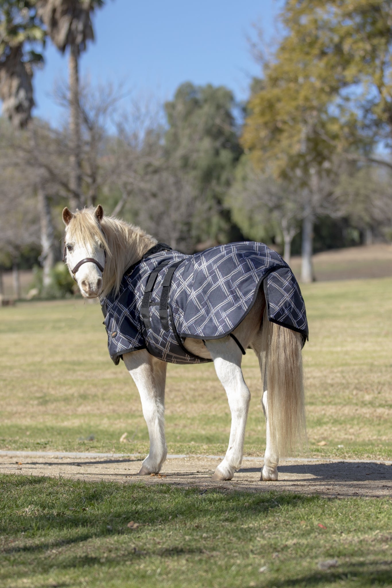 Kensington Signature Mini Light Weight Turnout Blanket