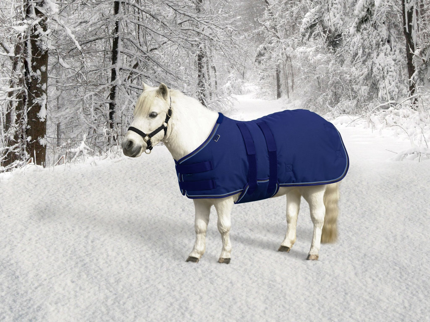 Kensington Signature Mini Medium Weight Turnout Blanket