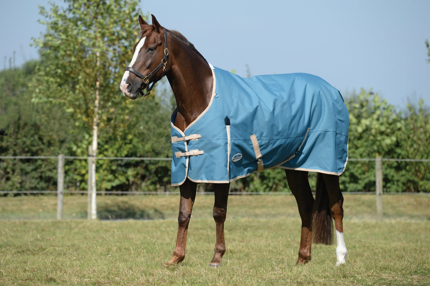 Weatherbeeta ComFiTec Essential Standard Neck Medium Turnout Blanket