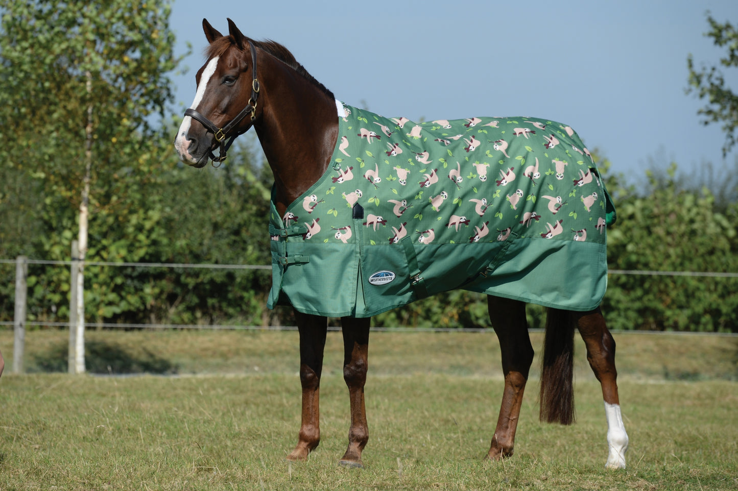 Weatherbeeta ComFiTec Essential Standard Neck Medium Turnout Blanket