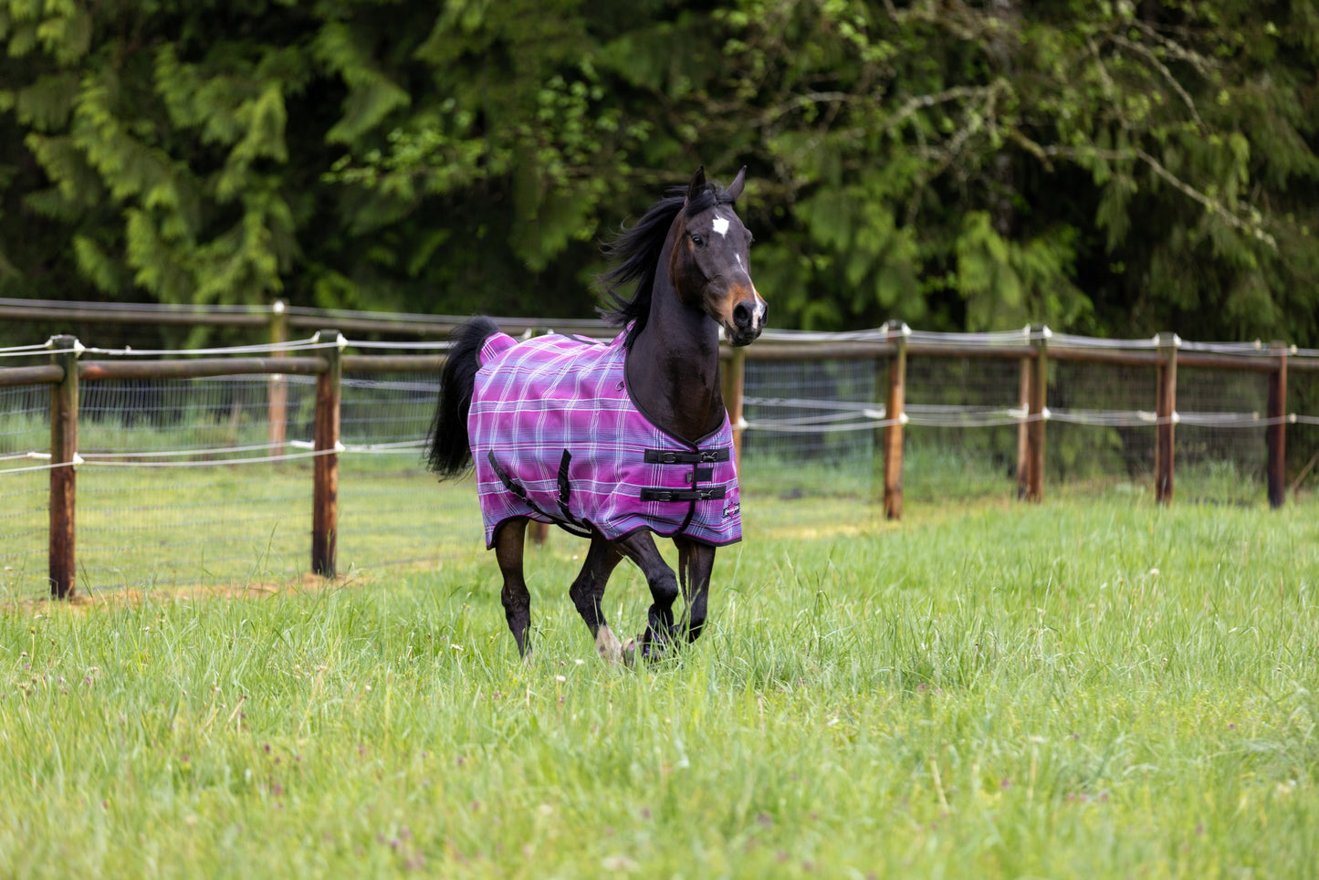 Kensington Pony SureFIt Protective Sheet