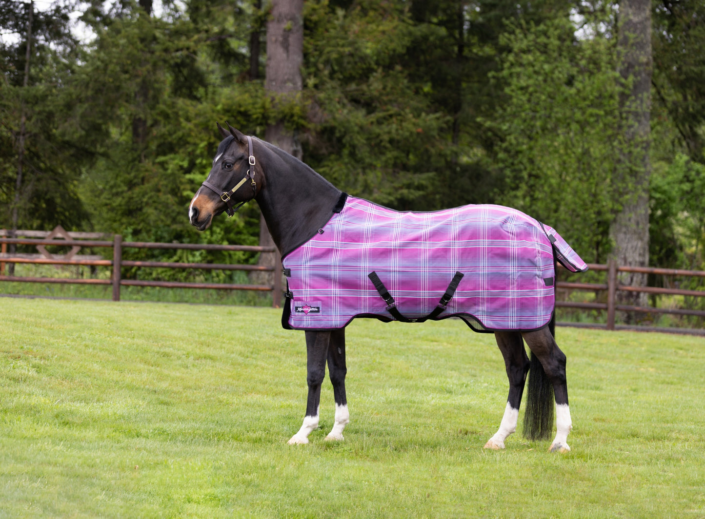 Kensington Pony SureFIt Protective Sheet