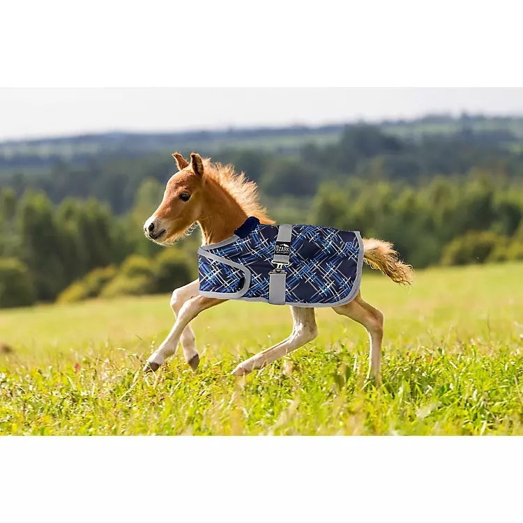 Ozark Mini Adjustable Foal Blanket