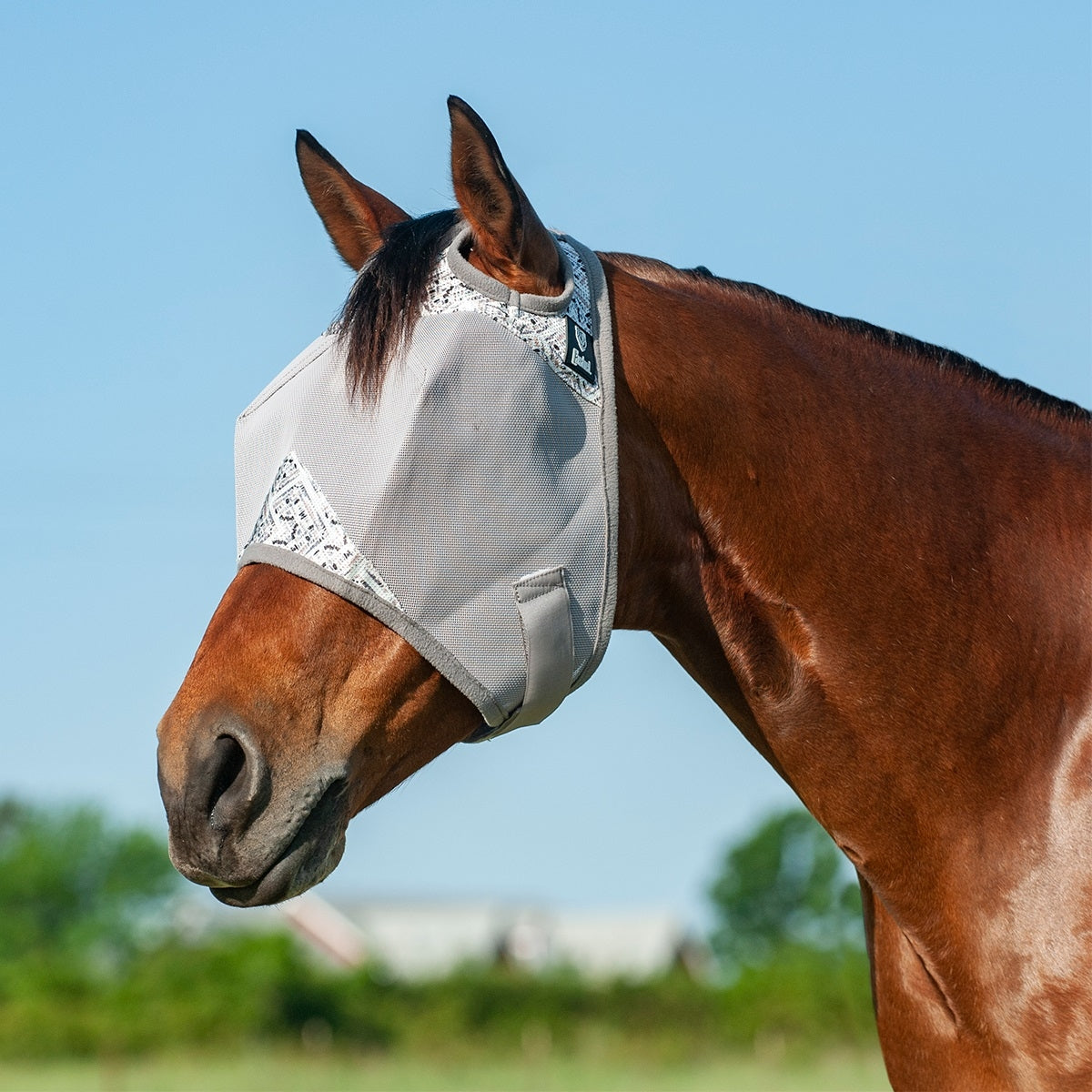 Cashel Crusader Patterned Fly Mask - Standard