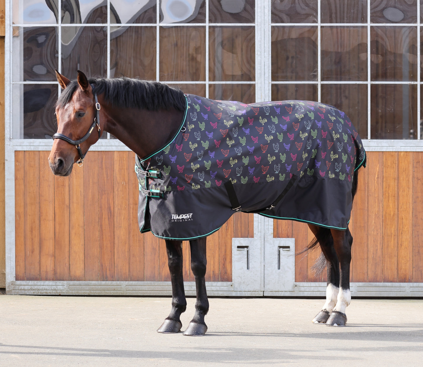 Shires Tempest Original Lite Turnout Blanket