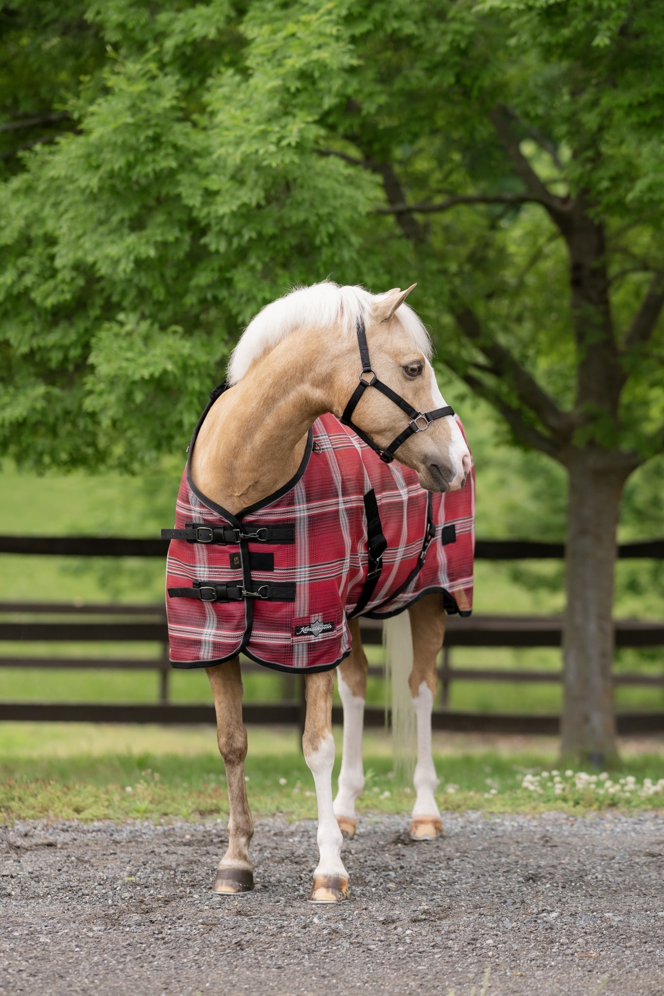 Kensington Pony Protective SureFit Fly Sheet