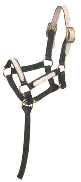 Tough-1 Miniature Horse Nylon Break-Away Halter