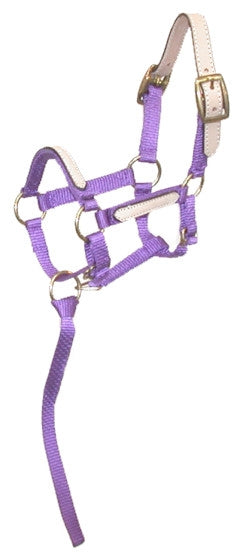 Tough-1 Miniature Horse Nylon Break-Away Halter