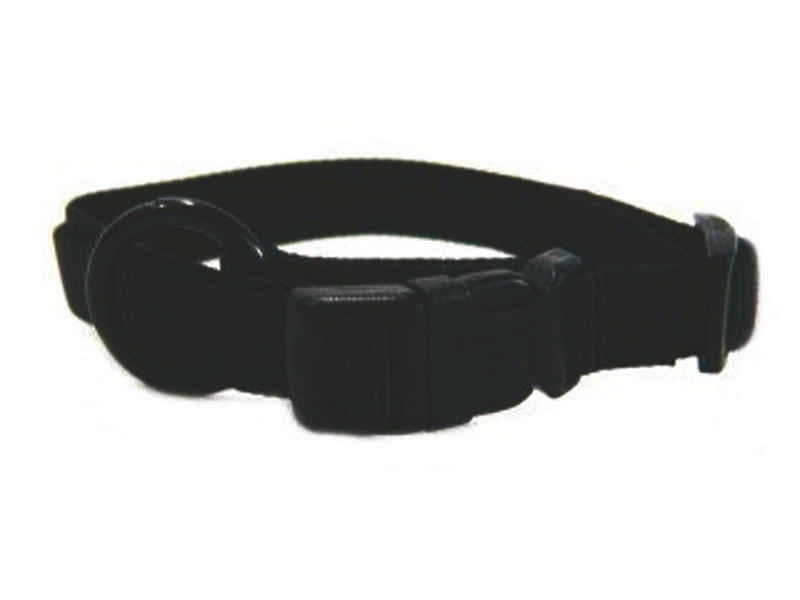 Adjustable Nylon Dog Collar