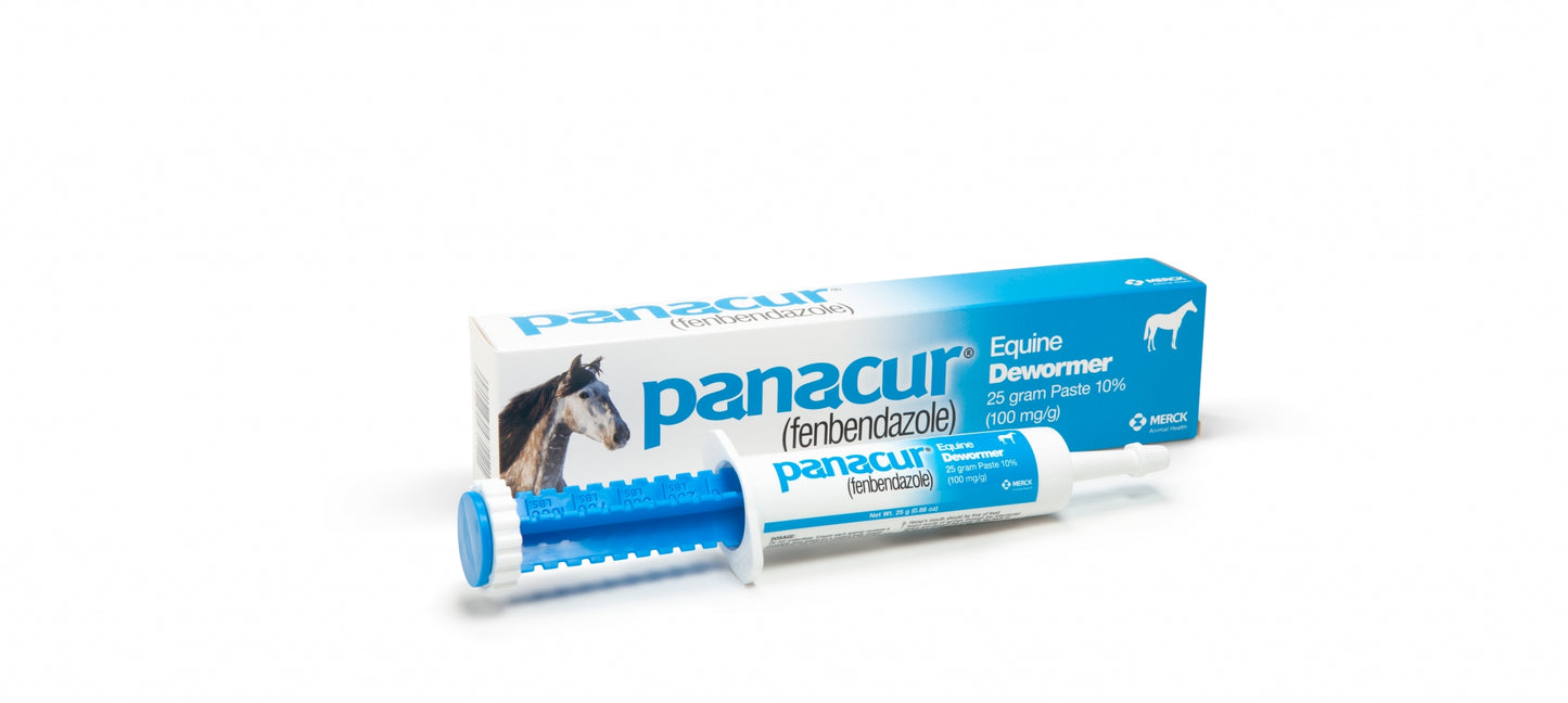 Panacur Paste Equine Dewormer