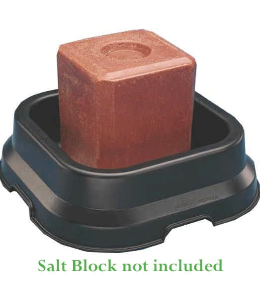 Fortex Pan for 50 LB Salt Block