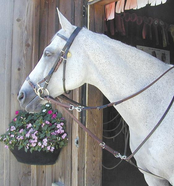 Nunn Finer German Martingale Rein Set