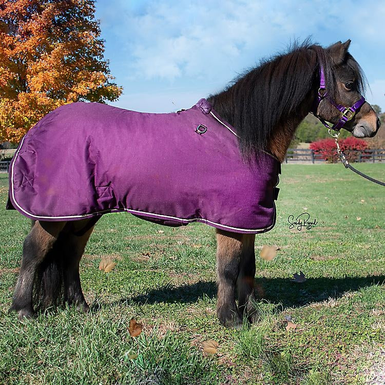 Ozark Mini/Pony Roustabout Blanket