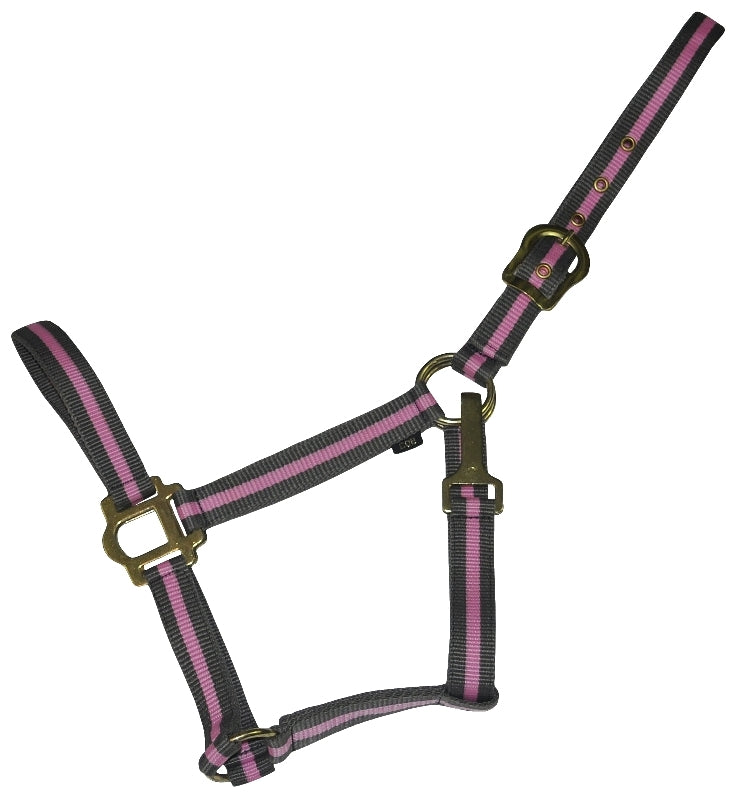 Gatsby Classic 2-Tone Nylon Halter with Snap