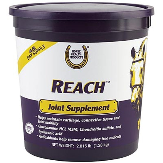 REACH JOINT SUPPLEMENT