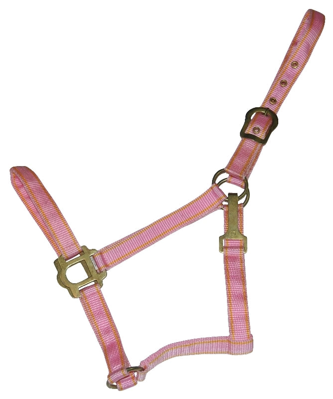 Gatsby Classic 2-Tone Nylon Halter with Snap