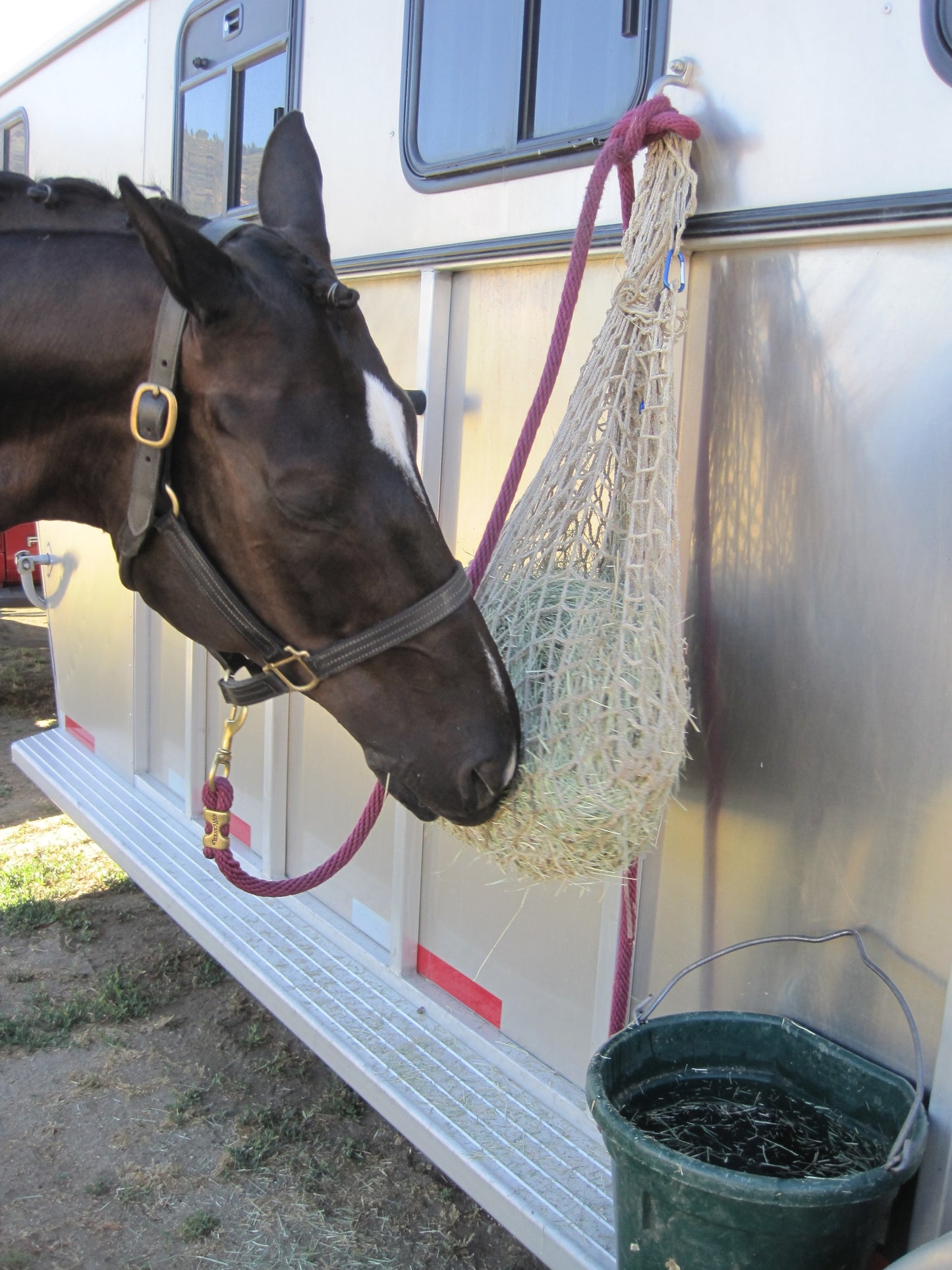 Freedom Feeder Trailer/Mini 1.5 Slow Feeding Net