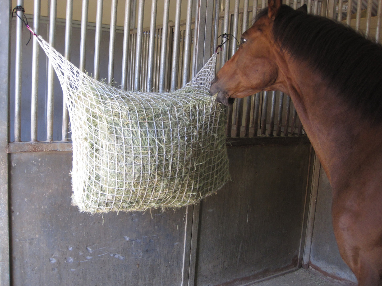 Freedom Feeder Extended Day Feeding Net/2 String Bale