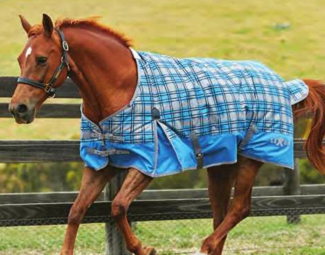 Saxon 600D Standard Neck Medium Turnout Blanket With Gusset ll