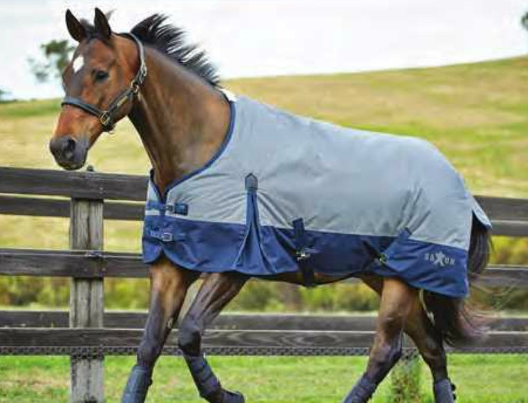 Saxon 600D Standard Neck Medium Turnout Blanket With Gusset ll