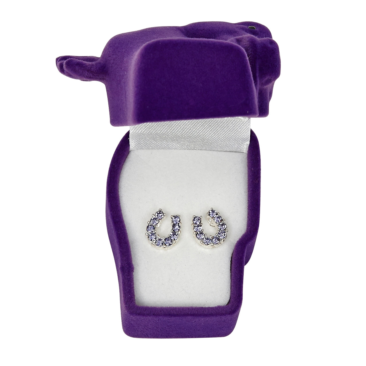 AWST Int'l Rhinestone Horseshoe Earrings with Horse Head Gift Box