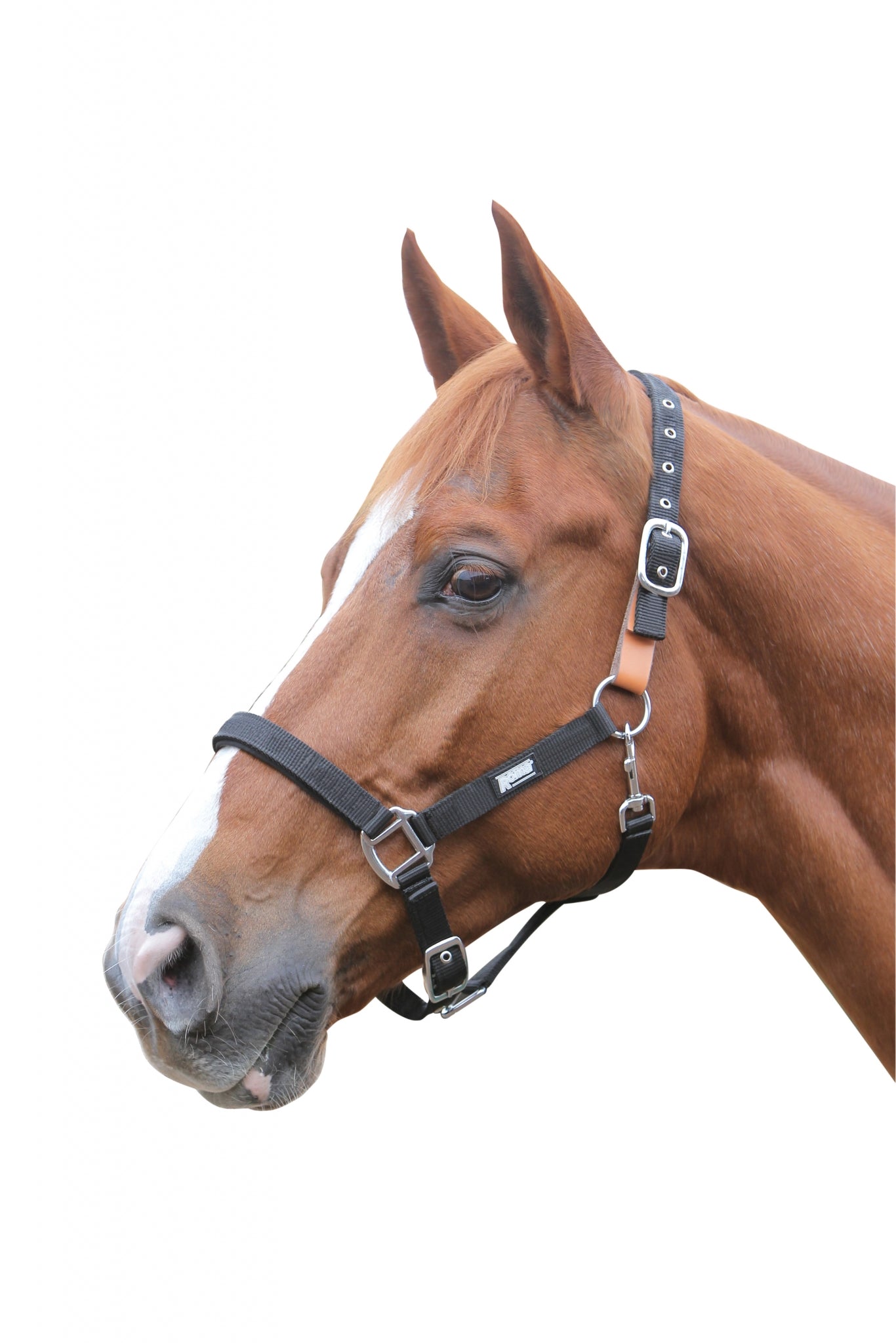 Roma Breakaway Headcollar Halter II