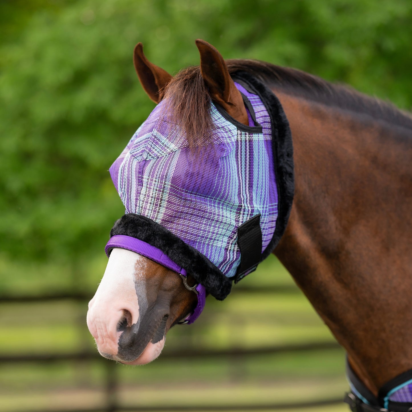 Kensington 73% UV Pony Fly Mask with Fleece Trim & Dual Ear Openings