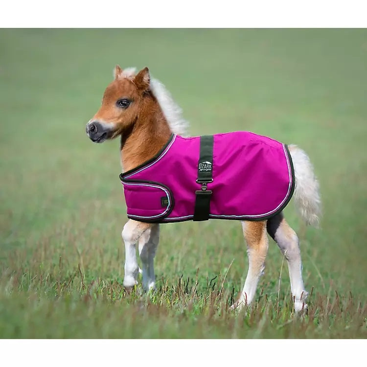 Ozark Mini Adjustable Foal Blanket