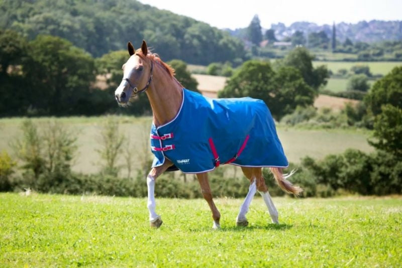 Shires Tempest Original Lite Turnout Sheet