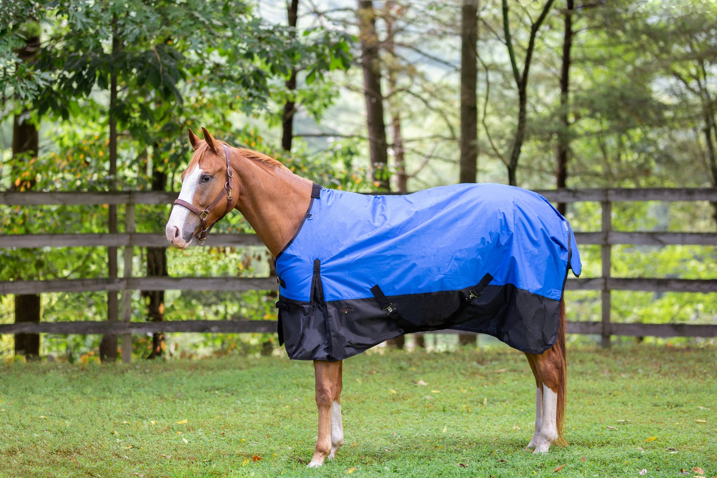 Tabelo Waterproof 600D Turnout Blanket