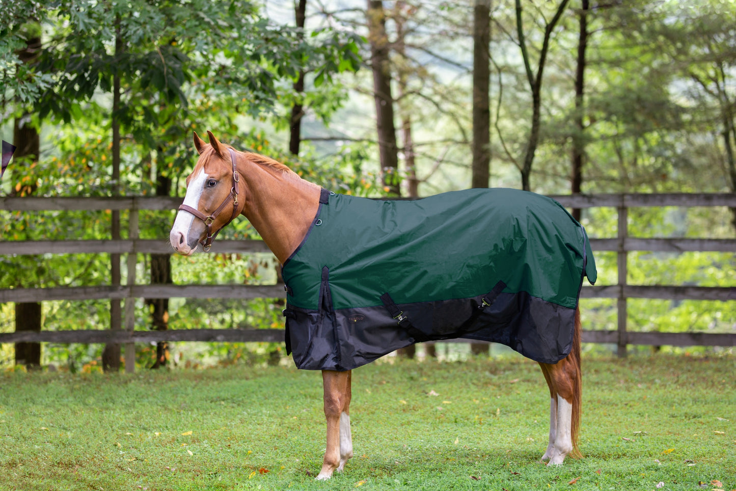 Tabelo Waterproof 600D Turnout Blanket