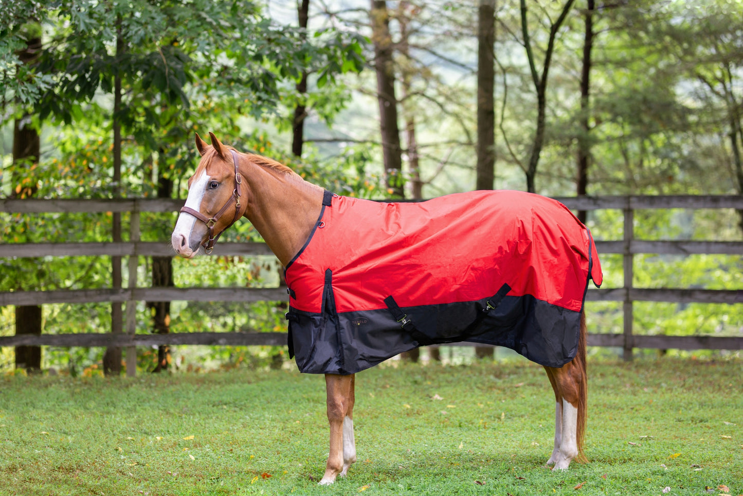 Tabelo Waterproof 600D Turnout Blanket