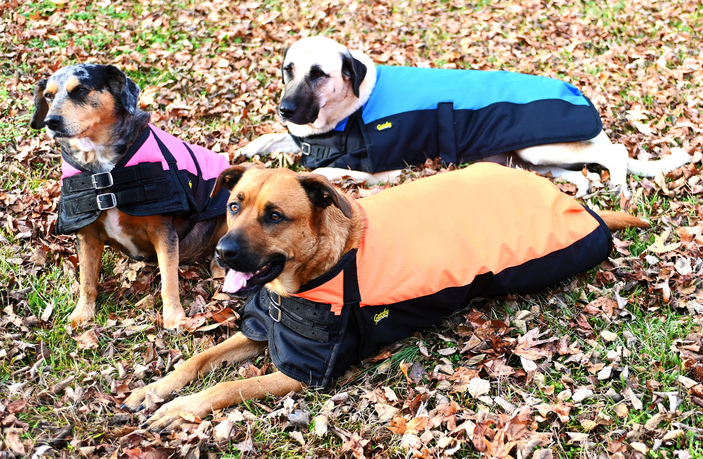 Gatsby 600D Ripstop Waterproof Dog Coat