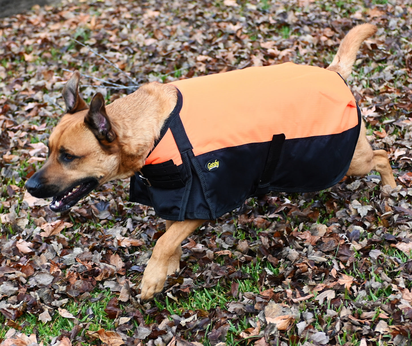 Gatsby 600D Ripstop Waterproof Dog Coat